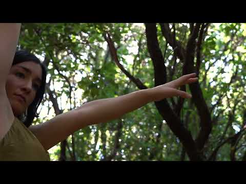 Olja Jelaska, RODINOVA MEDITACIJA film Ivone Vladović prema istoimenoj kompoziciji O.Jelaske