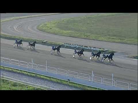 Napoli Trotto 14/07/2023 - 2ª prova di qualifica