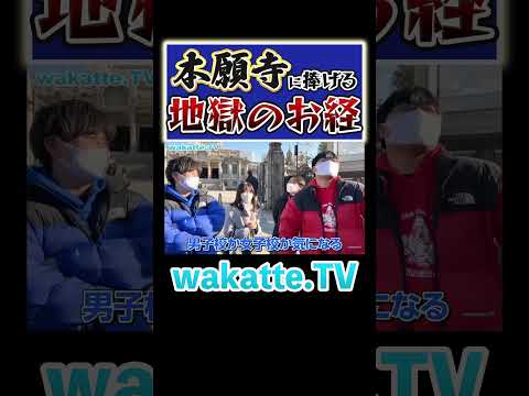 放射線技術学科 【本願寺に捧ぐ】学歴厨のお経が地獄すぎた #Shorts #MARCH #対決 #築地