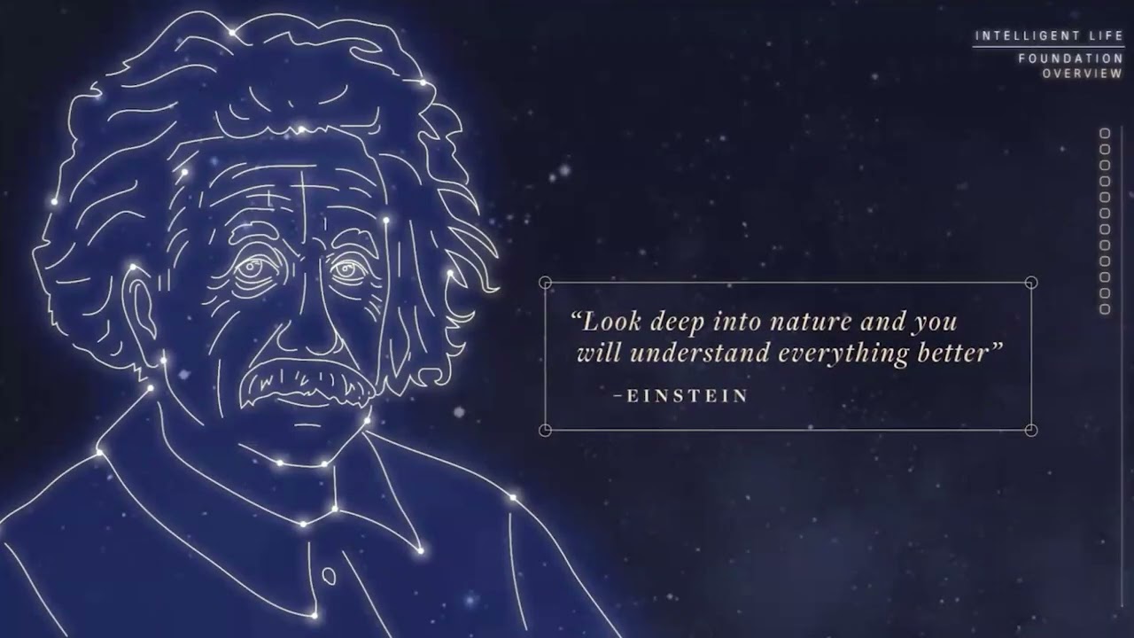 Open Group Sessions - Oasis Curriculum