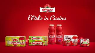 Polpa fine di pomodoro Rodolfi SC plech - Na jemno drvené osolené paradajky