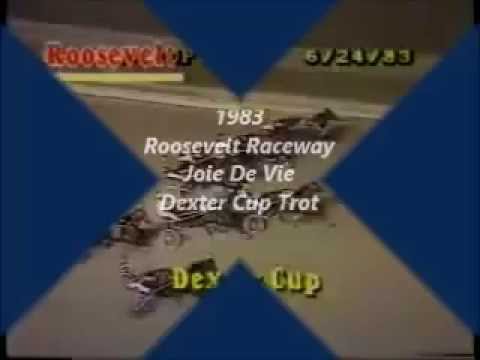 1983 Roosevelt Raceway JOIE DE VIE Dexter Cup Trot Final Buddy Gilmour