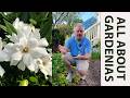 ALL ABOUT GARDENIAS - Where to Plant, Common Problems, How to Maintain, and Great Varieties