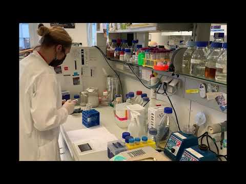 Diary of a Scientific Researcher: Natalia Danielewicz (ESR15) Chapter One