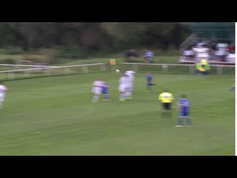 Gól Lukáša Pelegríniho (autor: Silvester Šouc)