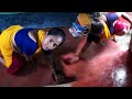 Room Cleaning Desy Style Saree Vlog