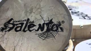 ARAKNE MEDITERRANEA   PIZZICA GRIKA