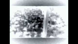 Maurane - Les uns contre les autres