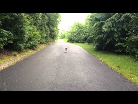 Dog Campus - Die Hundeschule Black Trinity Halde