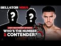 TOP 10 Light Heavyweight Finishes l Official Rankings l BELLATOR MMA