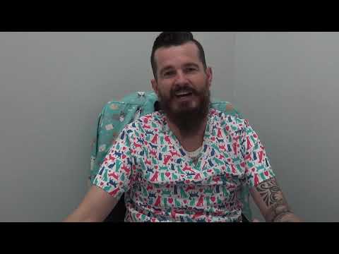 Depois do cão Chico, Zeus destrói apartamento em SMO 1