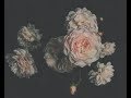 Letting Up Despite Great Faults - Keepsake ft. Socha (Lyric Video)