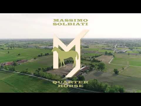 Massimo Solbiati Quarter Horse