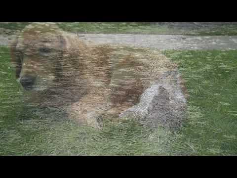 SERVPRO of North Rowan County/Salisbury: One of the Leaders in Storm-Damage Remediation.