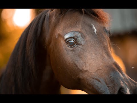 Geraldyne el Jamaal by Ali Jamaal