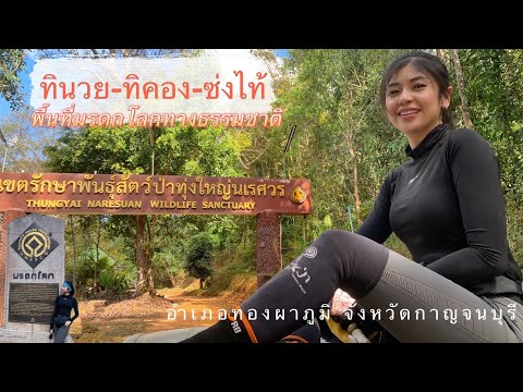เขตรักษาพันธุ์สัตว์ป่าทุ่งใหญ่นเรศวร