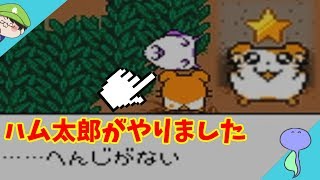とっとこ集める！スター探し~ハム語も添えて~-とっとこハム太郎2 ハムちゃんず大集合でちゅ-