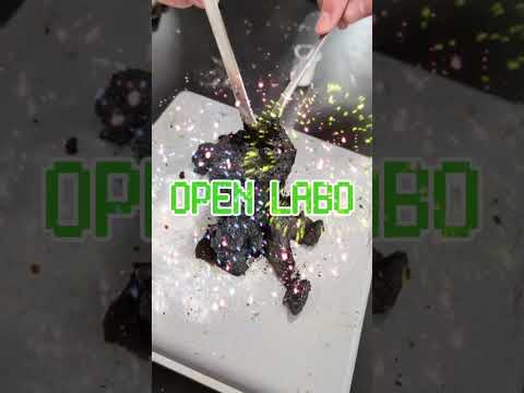 看護学科 【中高生対象】千葉科学大学 オープンラボを案内 大学施設を使った実験体験  #大学受験 #受験生 #勉強  #進学 #大学 #おすすめ大学 #news#shorts