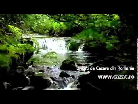 Cazare Dognecea, Caras Severin - Cazat.ro