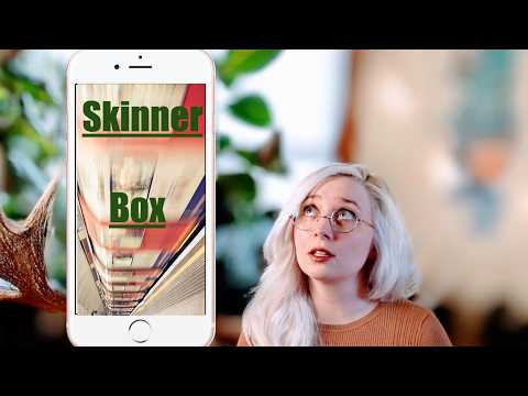 You're not addicted to tiktoks/reels, you're addicted to the scrolling