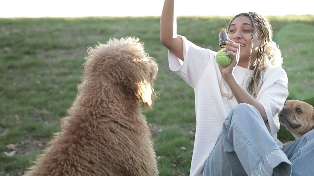 Pure Clean Pets Deep Dive Educational Overview by Dr. Christina Rahm