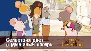 Эрнест и Селестина - Селестина едет в Мышиный лагерь - 1 сезон 24 серия