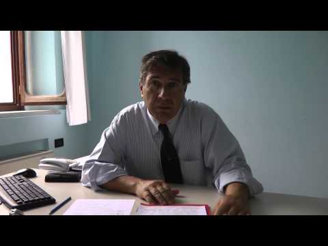 Economics and Management of the Arts, Bernardi, CF