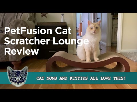 PetFusion Cat Scratcher Lounge - Perfect For Your Cat?