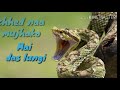 Main Teri Dushman Dushman Tu Mera 4K Video Song Sridevi Nagina Whatsapp Status