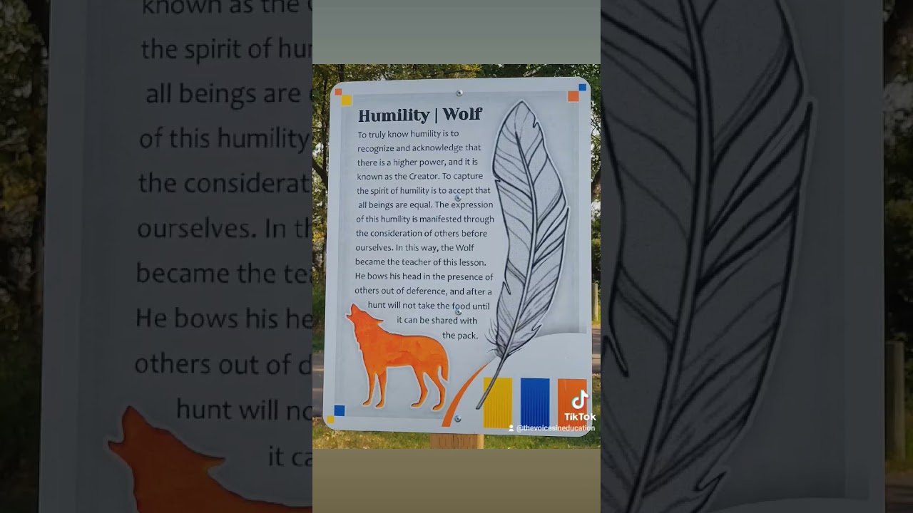 Humility (6/7) - One of the Seven Teachings #short #indigenous #everychildmatters #wolf #subscribe