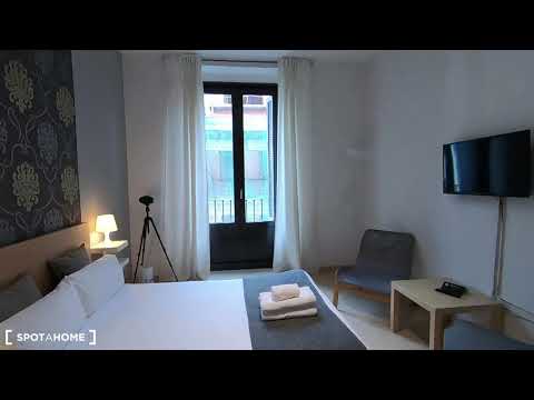 Modern studio apartment for rent in Centro - Spotahome (ref 394907)