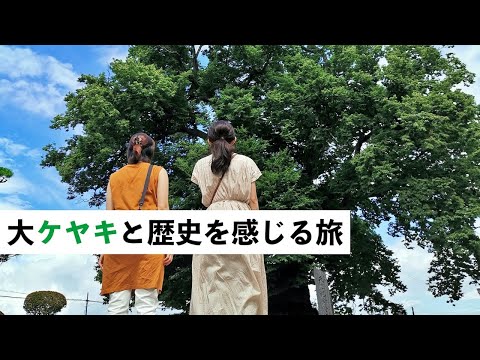 【東根市編 】大ケヤキと歴史を感じる旅