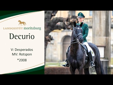 DECURIO v. Desperados - Rotspon