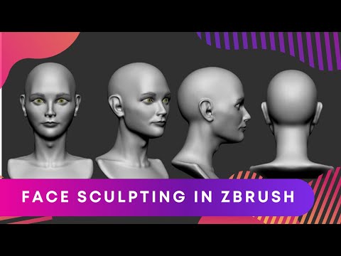 ZBrush Anatomy Series: Caucasian Female Head Sculpting