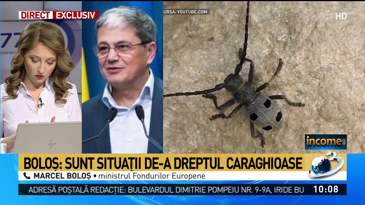 Finantare Autostrada Sibiu Pitesti