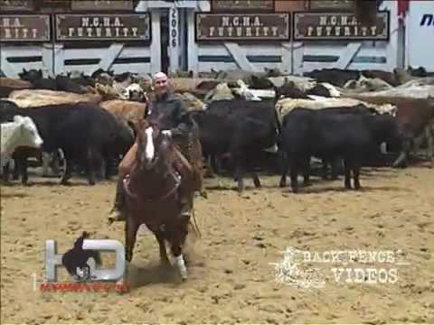 SDP Buffalo Ranch - Hydrive Cat