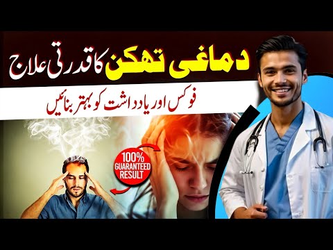 End Brain Fog: Regain Focus, Memory & Mental Energy