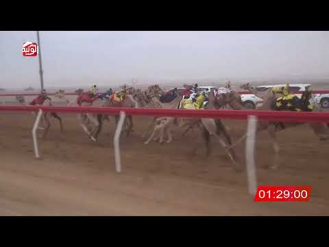  ش 9 (الشاهينيه) لـ سلطان الراعي النخيره الشامسي 2:56 ، شارة الصندوق 2026/08/16 فطامين الروضة