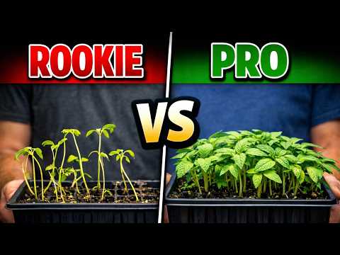 Seed-Starting Mistakes Pros Never Make
