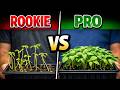 Seed Starting Mistakes Pros Never Make