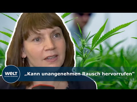 KONTROLLIERTES LEGALES KIFFEN: Experten beraten über Umsetzung der Cannabis-Freigabe
