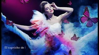 Las esquinas - Poema de Lilly Reiss