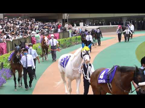 WHITE HORSE SODASHI IN TOKYO