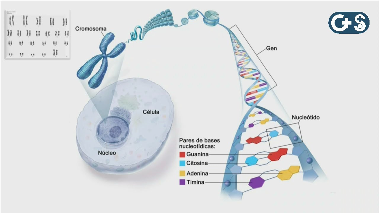 Sesión clínica: Secuenciación de Nueva Generacion (NGS). Conceptos básicos y aplicaciones.