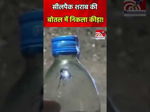 CG News: सीलपैक शराब की बोतल में निकला कीड़ा!