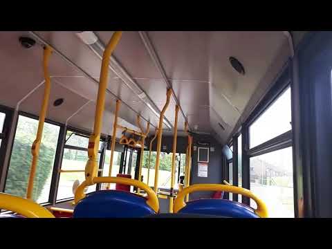 Service: 80 | Squarepeg TransBus Pointer (BX54 DMO)