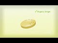 Gravol Ginger English