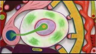 Trailer  Season 2 of  Art in the Twenty First Century   2003    Art21