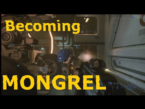 Becoming MONGREL Star Citizen PIRACY