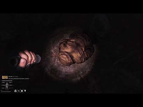 S.T.A.L.K.E.R Anomaly GAMMA: Sneaky bandit